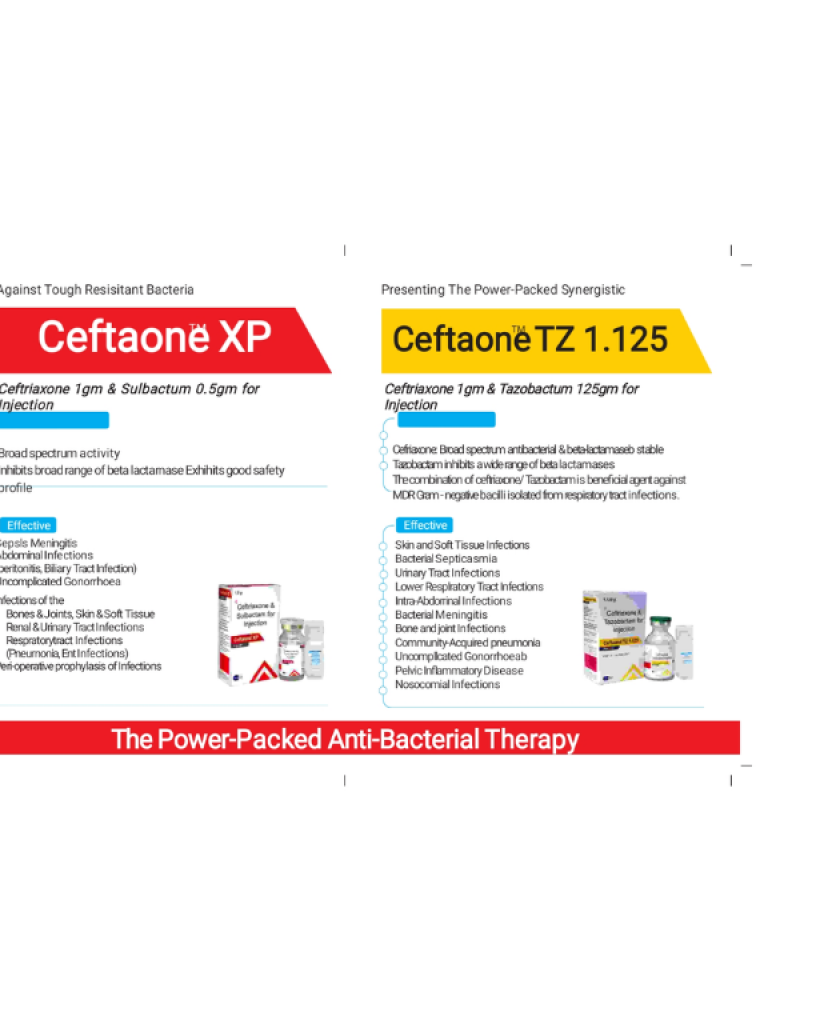 untitled design (13)