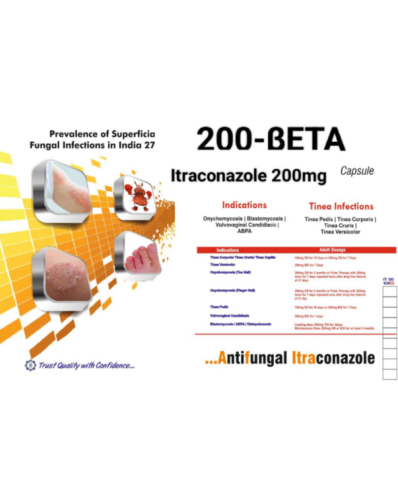 untitled design (22)